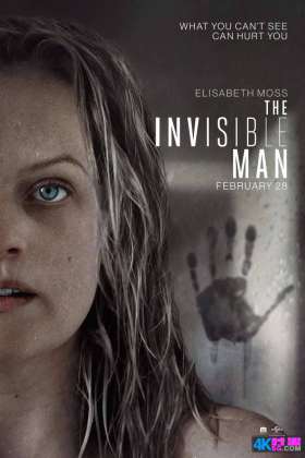 2020高分惊悚[豆瓣7.2][1080P60幀]隐形人 The Invisible Man.1080P.H265.DTS-HD.5.1英文原聲.英字幕[29.06G]